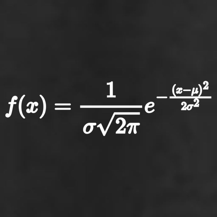 Normal Distribution Statistics Probablity Data Analyst Joke Meaningful Gift 25L Jumbo Tote