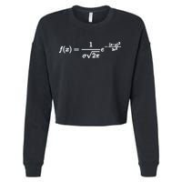 Normal Distribution Statistics Probablity Data Analyst Joke Meaningful Gift Cropped Pullover Crew
