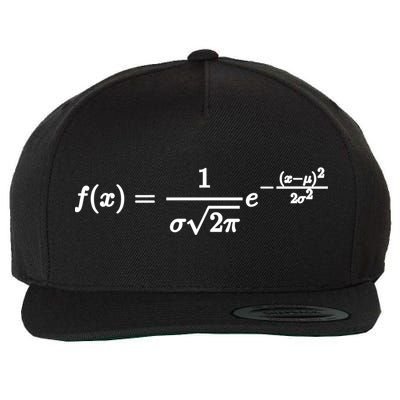 Normal Distribution Statistics Probablity Data Analyst Joke Meaningful Gift Wool Snapback Cap