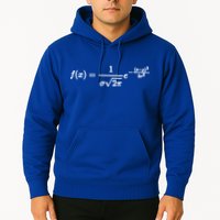 Normal Distribution Statistics Probablity Data Analyst Joke Meaningful Gift Hoodie