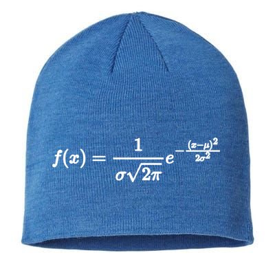 Normal Distribution Statistics Probablity Data Analyst Joke Meaningful Gift Sustainable Beanie