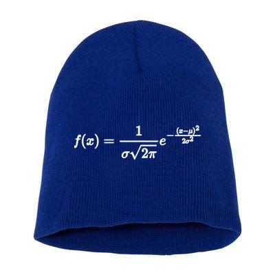 Normal Distribution Statistics Probablity Data Analyst Joke Meaningful Gift Short Acrylic Beanie