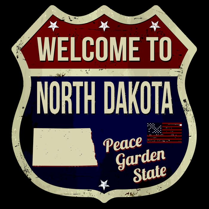 North Dakota Vintage Metal Road Sign Logo Toddler T-Shirt