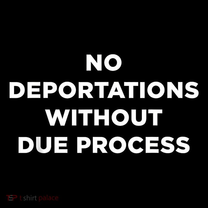 No Deportations Without Due Process - Political Protest Poster