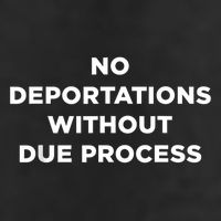 No Deportations Without Due Process - Political Protest Microfiber Hand Towel