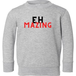 Nick Eh 30 Merch Toddler Sweatshirt