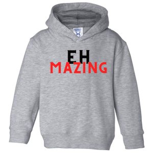 Nick Eh 30 Merch Toddler Hoodie