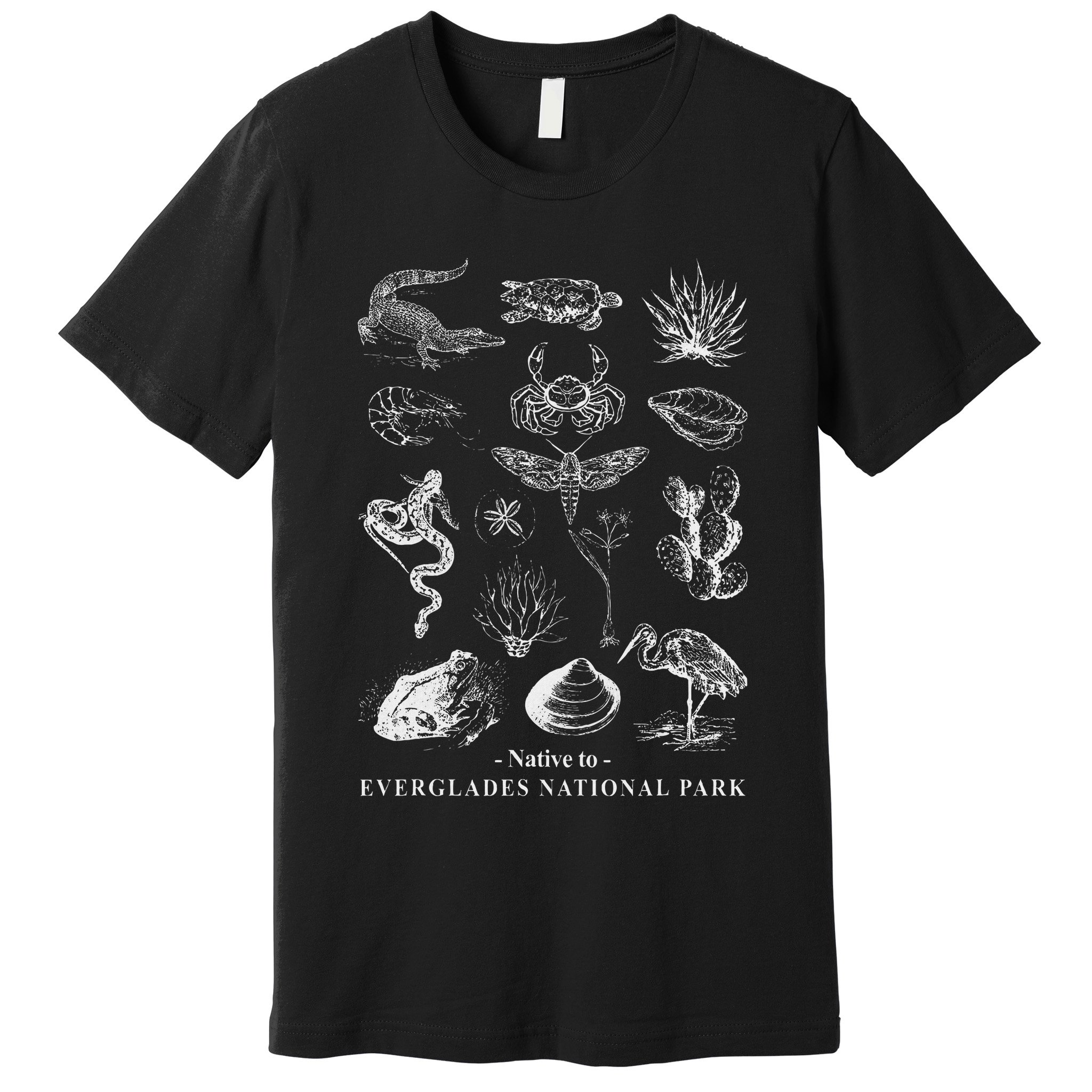 Nature Exploring Arizona Petrified Forest National Park Premium T-Shirt