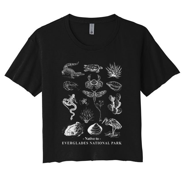 Nature Exploring Arizona Petrified Forest National Park Crop Top
