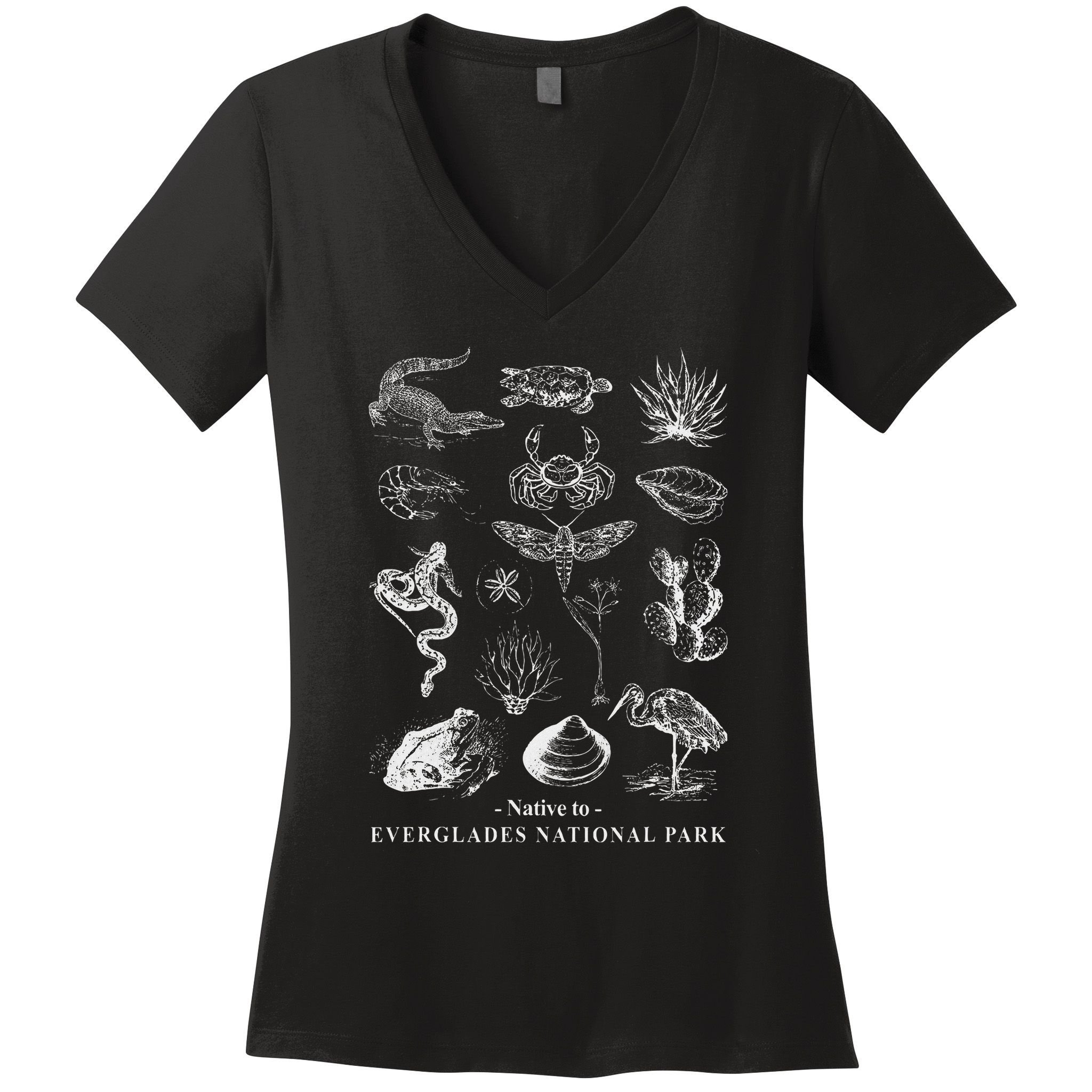 Nature Exploring Arizona Petrified Forest National Park Women's V-Neck T-Shirt