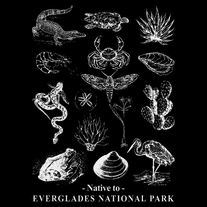 Nature Exploring Arizona Petrified Forest National Park Kids T-Shirt