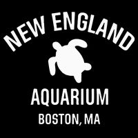 New England Aquarium Boston Ma 16 in Basic Backpack