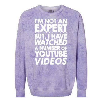 No Expert But I've Watched A Number Of YouTube Videos Funny Colorblast Crewneck Sweatshirt