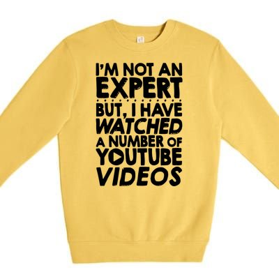 No Expert But I've Watched A Number Of YouTube Videos Funny Premium Crewneck Sweatshirt