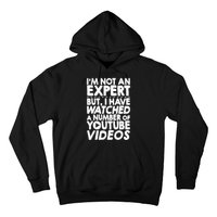 No Expert But I've Watched A Number Of YouTube Videos Funny Hoodie