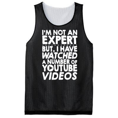 No Expert But I've Watched A Number Of YouTube Videos Funny Mesh Reversible Basketball Jersey Tank