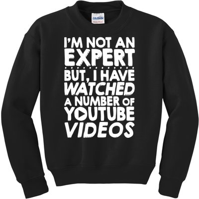 No Expert But I've Watched A Number Of YouTube Videos Funny Kids Sweatshirt