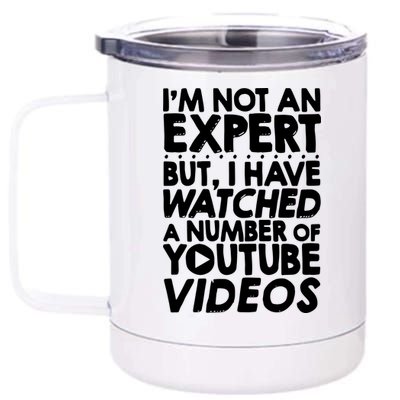 No Expert But I've Watched A Number Of YouTube Videos Funny 12 oz Stainless Steel Tumbler Cup