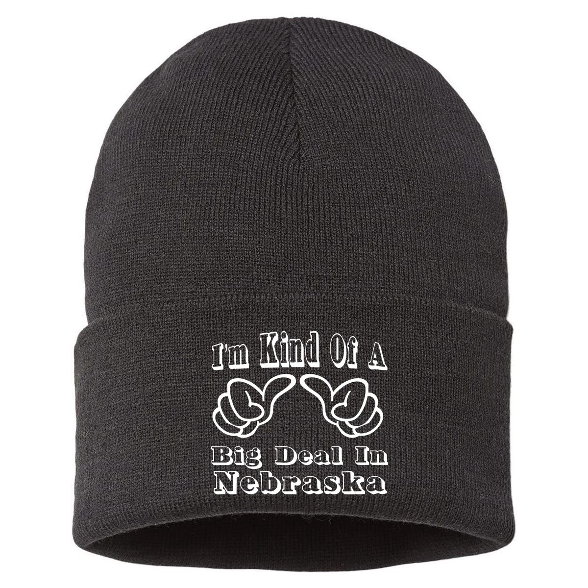 Nebraska Big Deal Sustainable Knit Beanie