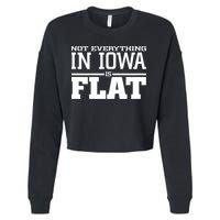 Not Everything In Iowa Is Flat Funny Sarcasm Saying Cropped Pullover Crew