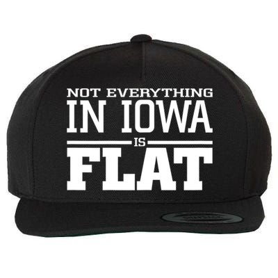 Not Everything In Iowa Is Flat Funny Sarcasm Saying Wool Snapback Cap