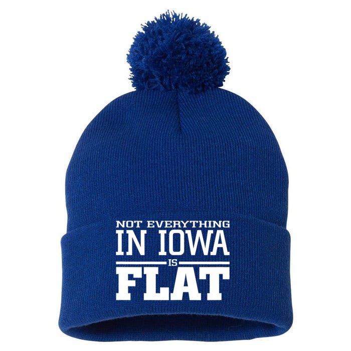 Not Everything In Iowa Is Flat Funny Sarcasm Saying Pom Pom 12in Knit Beanie