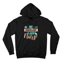 Ne Eggcellent L&d Nurse Labor Day Gift Hoodie