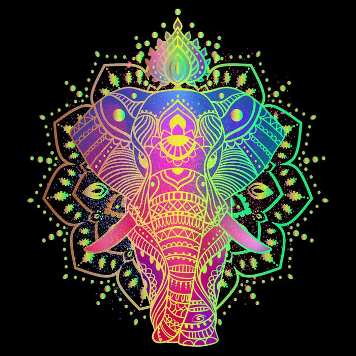 Neon Color Yoga Elephant Bucket Hat