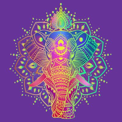 Neon Color Yoga Elephant T-Shirt