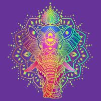 Neon Color Yoga Elephant T-Shirt