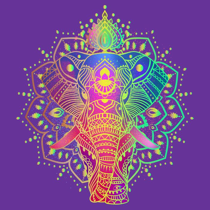 Neon Color Yoga Elephant Visor