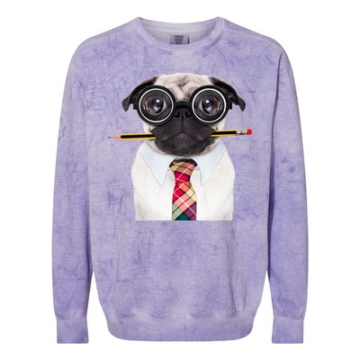 Nerdy Pug Dog With Glasses Colorblast Crewneck Sweatshirt