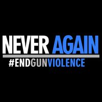 Never Again End Gun Violence Wool Snapback Cap