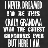 Never Dreamed I'd Be A Crazy Grandma 7 Panel Mesh Trucker Snapback Hat