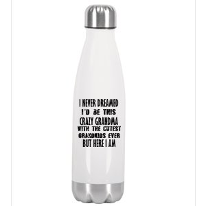 Never Dreamed I'd Be A Crazy Grandma Stainless Steel Insulated Water Bottle