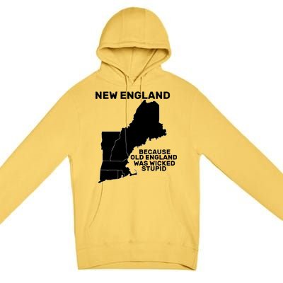 New England Because Old England Was Wicked Stupid Premium Pullover Hoodie