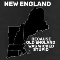 New England Because Old England Was Wicked Stupid 11oz C Handle Ceramic Mug
