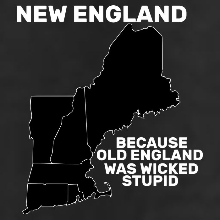 New England Because Old England Was Wicked Stupid 11oz C Handle Ceramic Mug