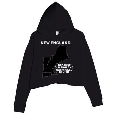 New England Because Old England Was Wicked Stupid Crop Fleece Hoodie