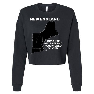 New England Because Old England Was Wicked Stupid Cropped Pullover Crew