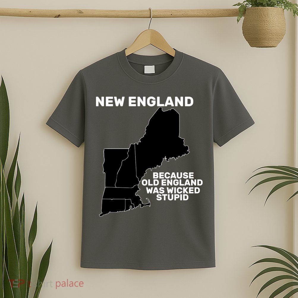 New England Because Old England Was Wicked Stupid T-Shirt