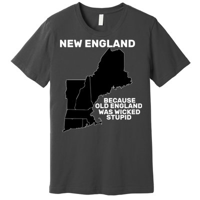 New England Because Old England Was Wicked Stupid Premium T-Shirt