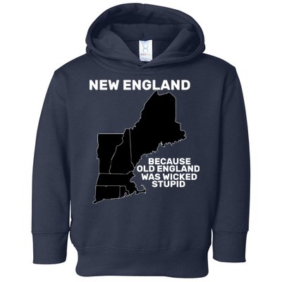 New England Because Old England Was Wicked Stupid Toddler Hoodie