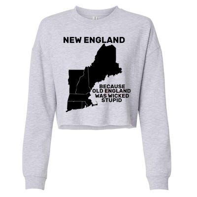 New England Because Old England Was Wicked Stupid Cropped Pullover Crew