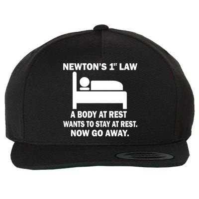 Newton's 1st Law A Body At Rest Wool Snapback Cap