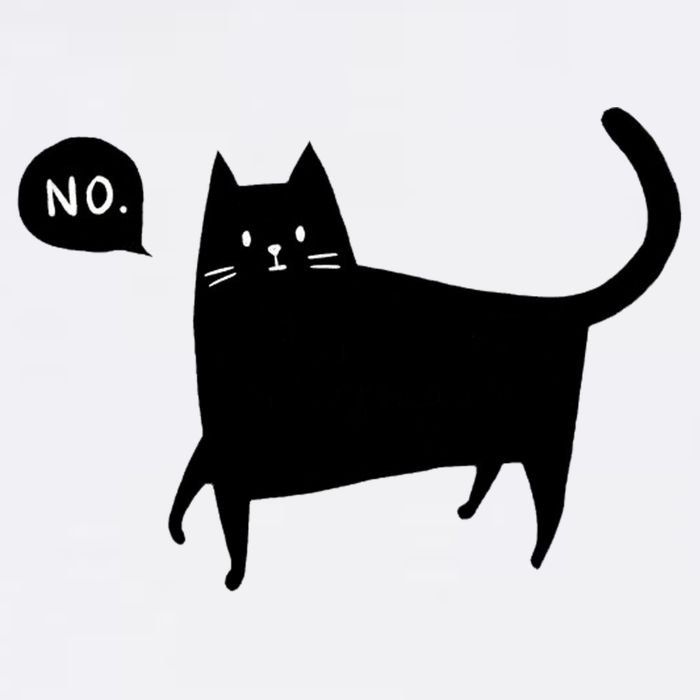 No Funny Black Cat Hat