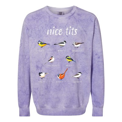 Nicetits Funny Bird Watching Gift Birder Dad Colorblast Crewneck Sweatshirt