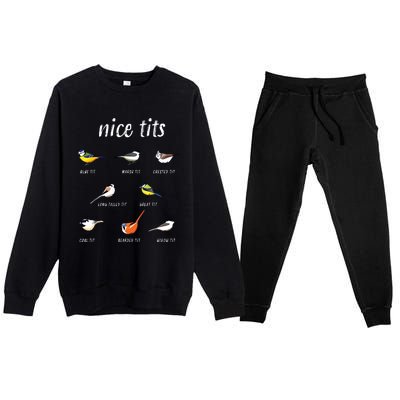 Nicetits Funny Bird Watching Gift Birder Dad Premium Crewneck Sweatsuit Set