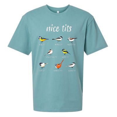 Nicetits Funny Bird Watching Gift Birder Dad Sueded Cloud Jersey T-Shirt