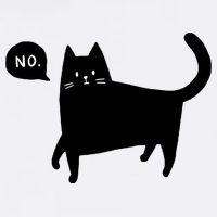 No Funny Black Cat Hoodie